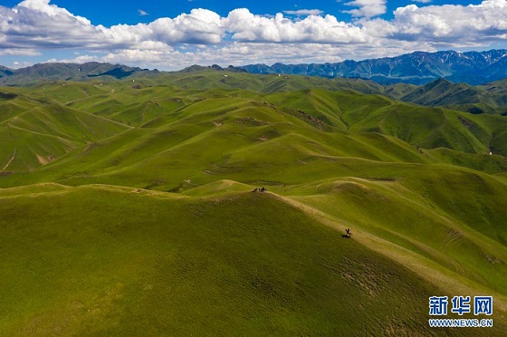 Көсілген таулардағы көрікті жайлау