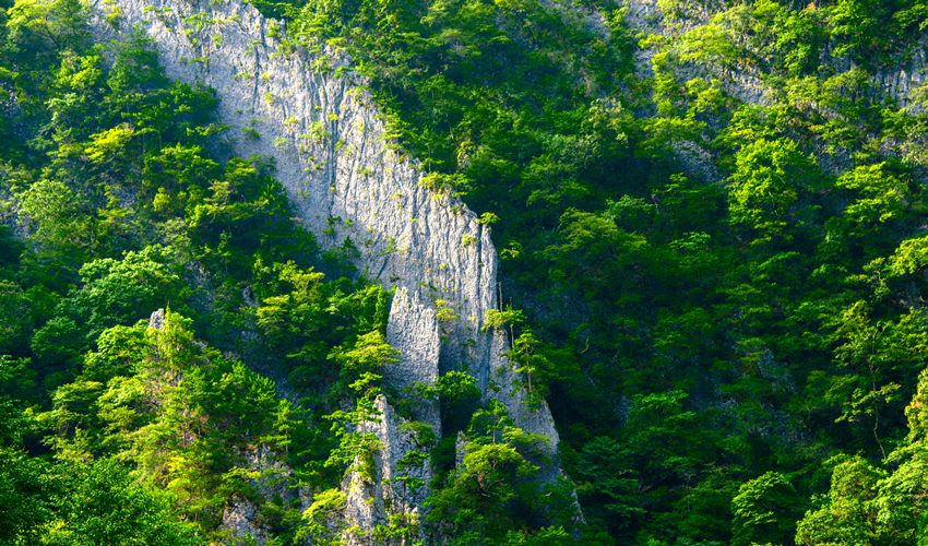 Чунцин қаласының Вулипо табиғи қорығы дүние жүзілік мұралар тізіміне енді
