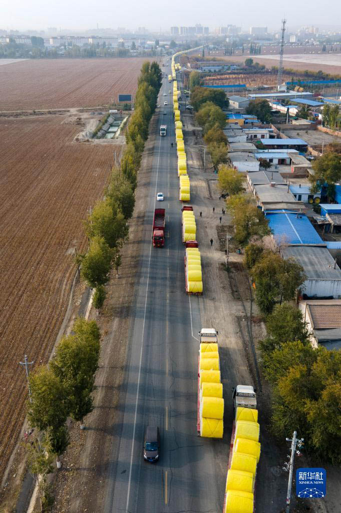 Шыңжаңның мақтасын жинау, сатып алу қарбаластығы басталды