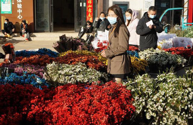 Валентин күні қарсаңында Юньнань гүл базарында гүлге сұраныс артты