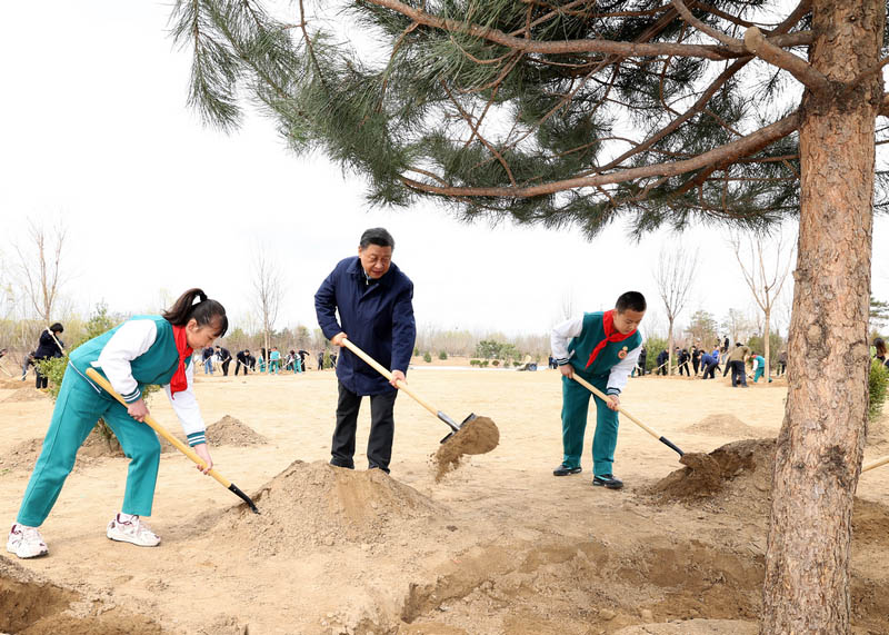 Си Цзиньпин Елордадағы міндетті ағаш отырғызу шарасына қатысты