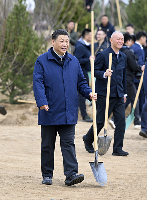 Си Цзиньпин Елордадағы міндетті ағаш отырғызу шарасына қатысты