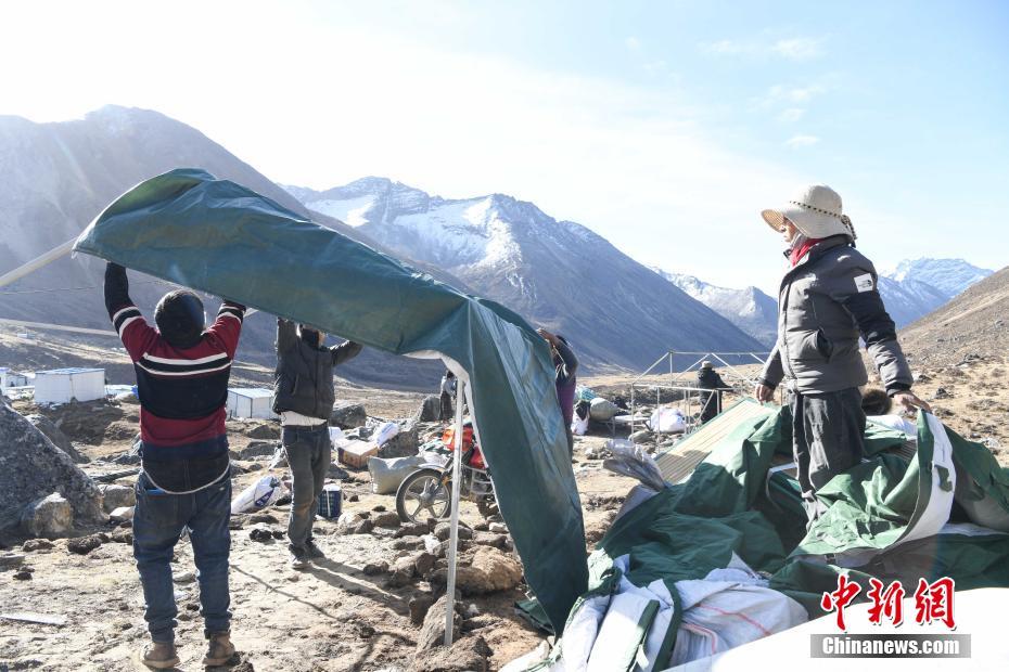 Тибетте құрт шөп қазу маусымы басталды