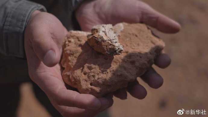 Ішкі Моңғұлда шамамен 125 миллион жыл бұрын өмір сүрген динозаврдың қалдықтары табылды
