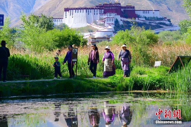 Тибеттегі Лалу сазды жерінің көркем көрінісі