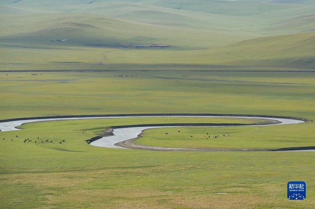 Жайлаудағы Моргеле өзені