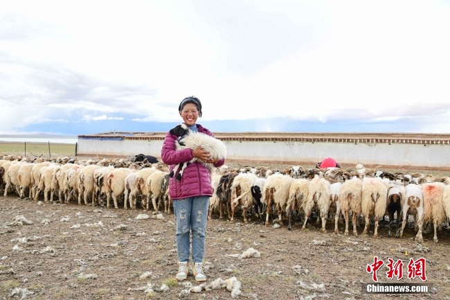 Дүниенің жотасындағылар экологиялық қоныс аударды