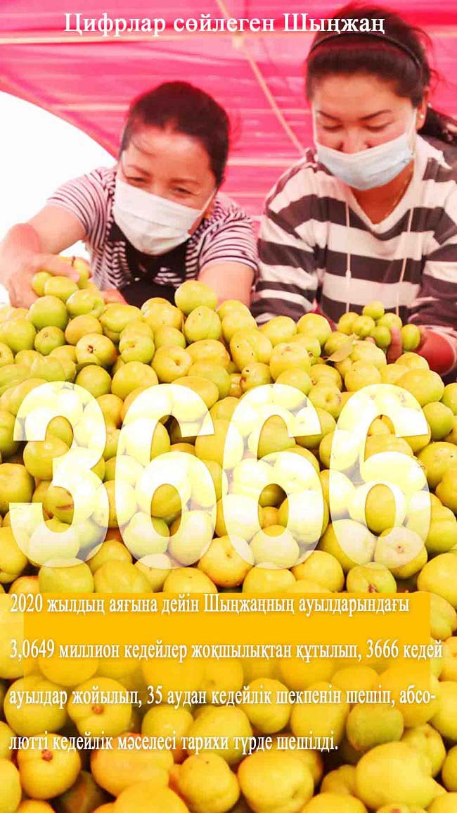 Шыңжаңның он жылдағы ұлы өзгерістері