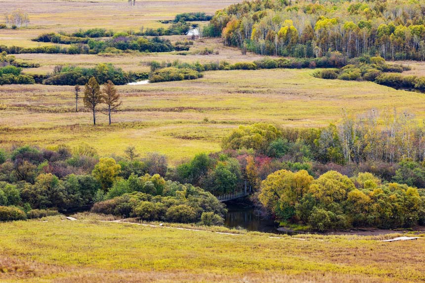 Хэйлунцзяндағы Дасинъаньлин орман аймағы күздің ең әдемі мезгіліне еңді