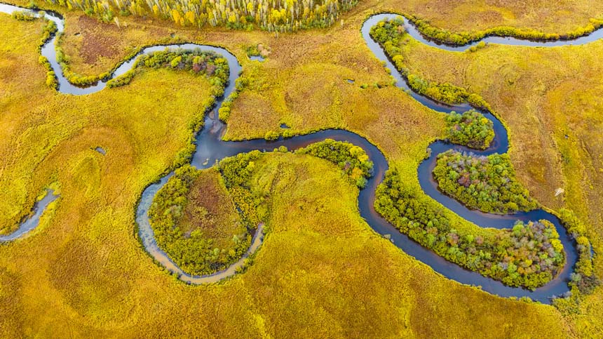 Хэйлунцзяндағы Дасинъаньлин орман аймағы күздің ең әдемі мезгіліне еңді