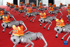 «Роботтар Бейжіңде жиналды» - World Robot Expo 2022 шымылдығын ашты