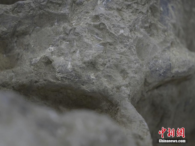 Хубэйде табылған ежелгі адам бас сүйегінің қалдықтары Қытайда миллиондаған жыл бойғы адамзаттың даму эволюциясын көрсетті