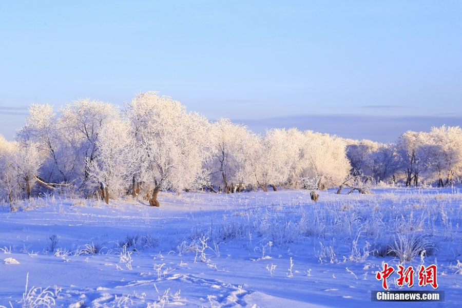 Шекаралық Хума қаласындағы аяздан соңғы көркем көрініс