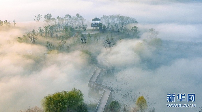 Аньхой өлкесі Хуайбэй қаласындағы Шығыс көлінің тұман басқан келбеті