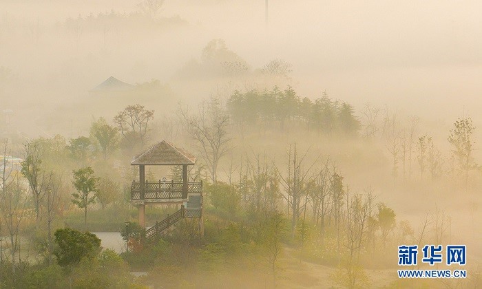 Аньхой өлкесі Хуайбэй қаласындағы Шығыс көлінің тұман басқан келбеті