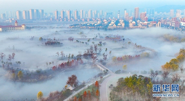 Аньхой өлкесі Хуайбэй қаласындағы Шығыс көлінің тұман басқан келбеті