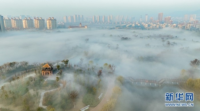 Аньхой өлкесі Хуайбэй қаласындағы Шығыс көлінің тұман басқан келбеті