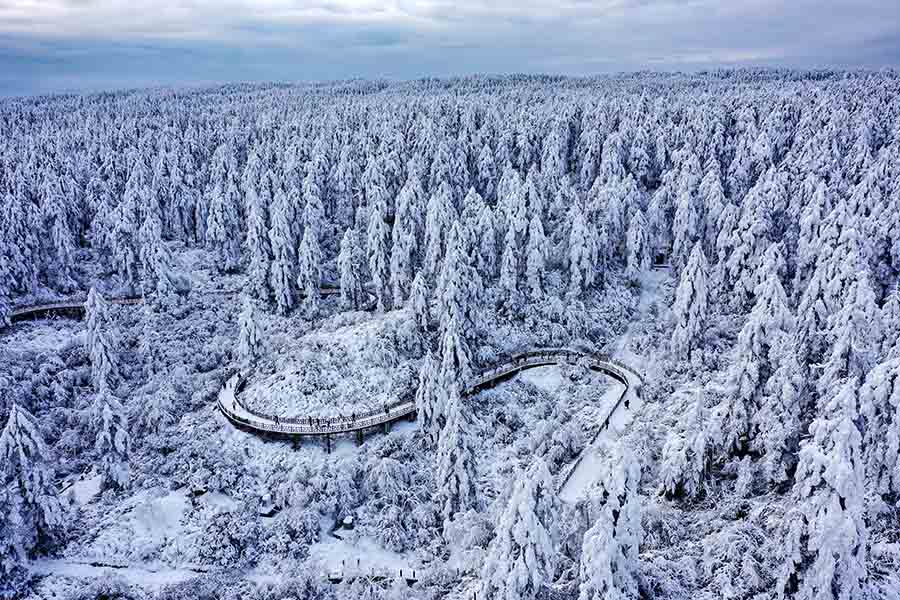 Хунъя, Сычуань: Панда ұлттық саябағы күміс түспен көмкерілді