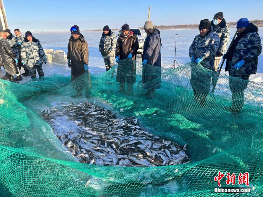 Ішкі Моңғолдағы Дали көлі қысқы балық аулау маусымын қарсы алды
