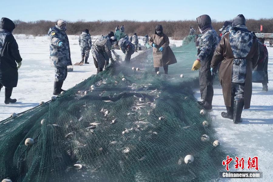 Ішкі Моңғолдағы Дали көлі қысқы балық аулау маусымын қарсы алды