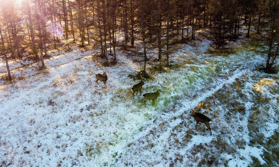 Ішкі Моңғол: көркі көз сүйсіндіретін Луанхен алабы