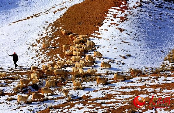 Ганьсу өлкесі Чжанье қаласы маңындағы қарлы даланың көктемгі шаруашылығы