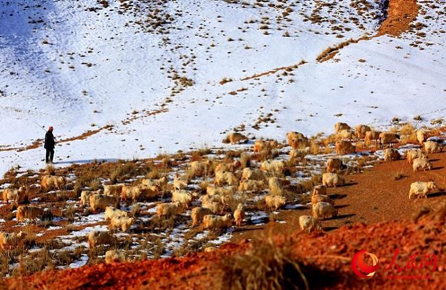 Ганьсу өлкесі Чжанье қаласы маңындағы қарлы даланың көктемгі шаруашылығы