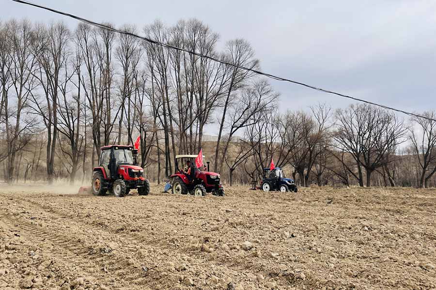 Цинхай Гуйдэ: Жаңа жылдық бірінші соқа басталды