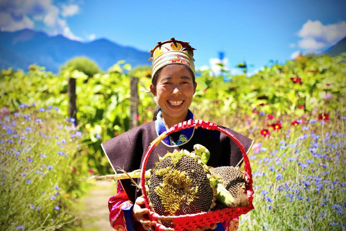 Үшінші Тибет интернет бейне фестивалінің көрнекті материалдар жинағы