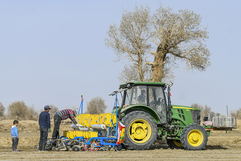 Қытай мақта өндірісінің негізгі аумағында көктемгі егіс басталды