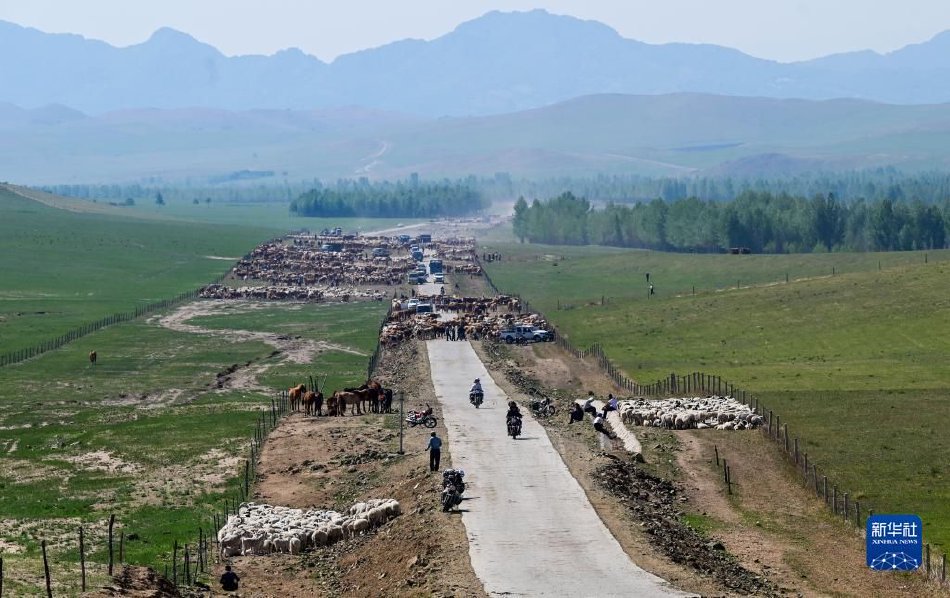 Кең жайлауда шарықтаған заманауи шопан әні