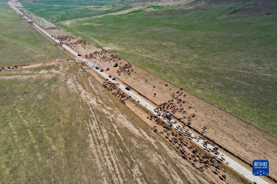 Кең жайлауда шарықтаған заманауи шопан әні