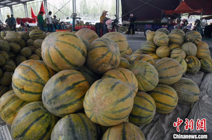 «Жеміс-жидектің мекені» Қашқарда қауынның иісі аңқиды