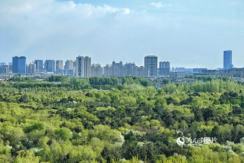 Бүгін Қытайдың бірінші Ұлттық экология күні!