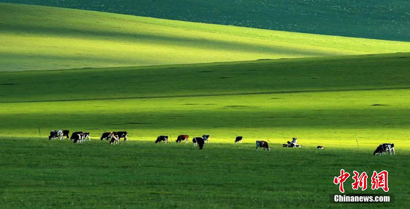 Күздегі Эргунаның әсем келбеті