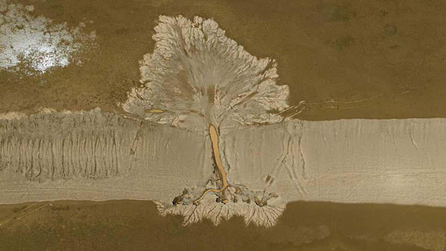 Али, Тибет: жер бетіндегі ағаш тәрізді бедерлер