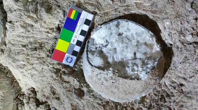 Кристалданған динозавр жұмыртқаларының қалдықтары алғаш рет Хубей өлкесінен табылды