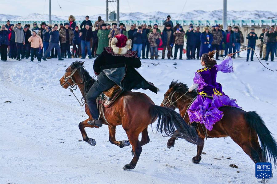 Шыңжаңдағы заманауи мал шаруашылығы