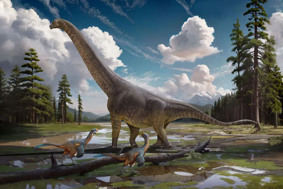 Қытайда ұзындығы 14 метр болатын динозаврдың жаңа тұқымы табылды