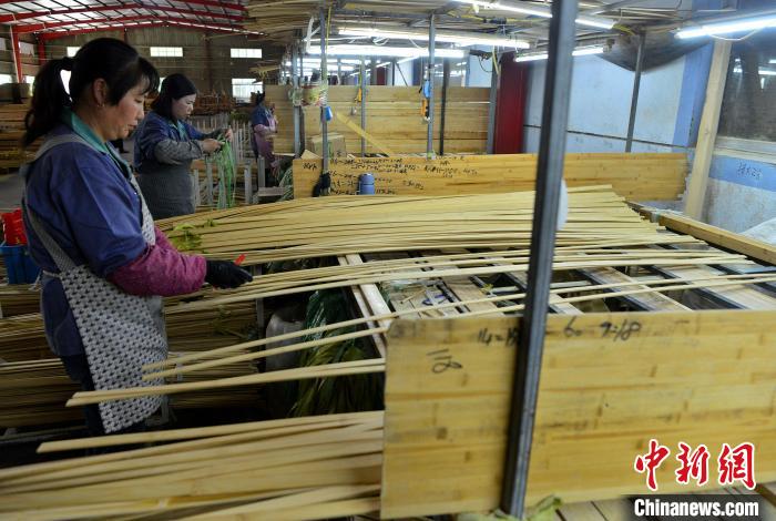Фуцзяньның Чжэнхэ ауданының бамбук өнімдері 70-тен астам ел мен аймаққа экспортталады