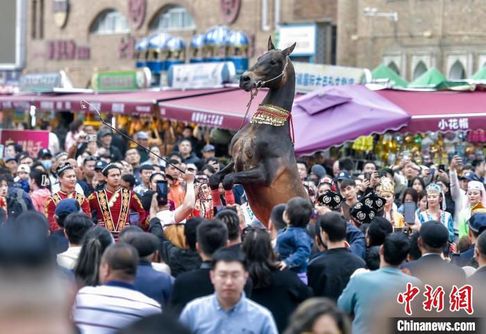 Ақалтеке Шыңжаң халықаралық үлкен базарында көрсетілді