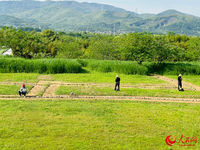 Лянчжу ұлттық археологиялық саябағын тамашалаңыз