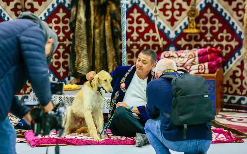 Астанада иттердің халықаралық көрмесі өтіп жатыр
