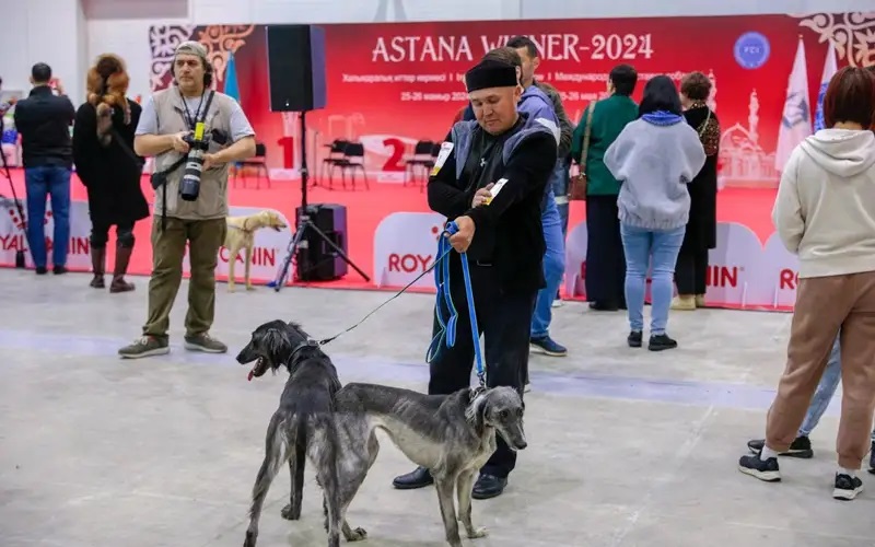 Астанада иттердің халықаралық көрмесі өтіп жатыр