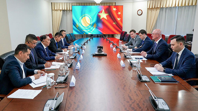 Қазақстанда жүгеріні терең өңдеуге арналға өнеркәсіптік парк салу бойынша инвестициялық жобаны талқылады