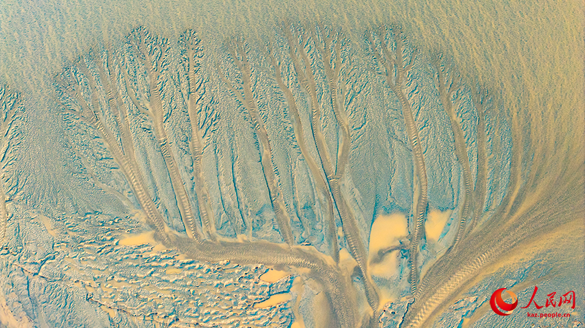 Цяньтан өзенінде киелі ағаш көрінісі пайда болды