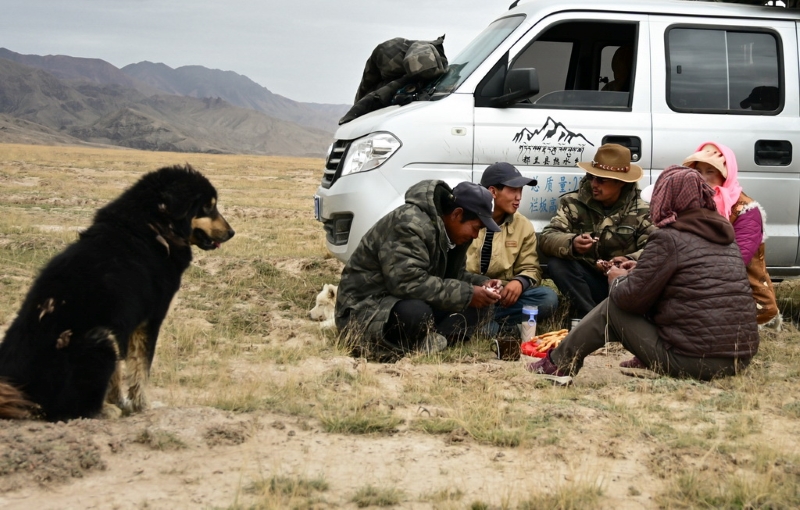 Цайдам ойпатындағы көші-қон