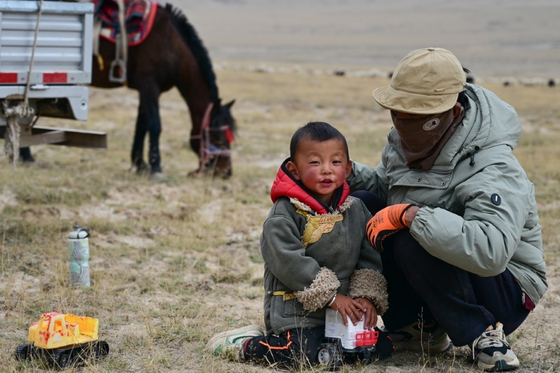Цайдам ойпатындағы көші-қон