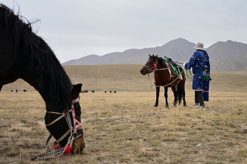 Цайдам ойпатындағы көші-қон