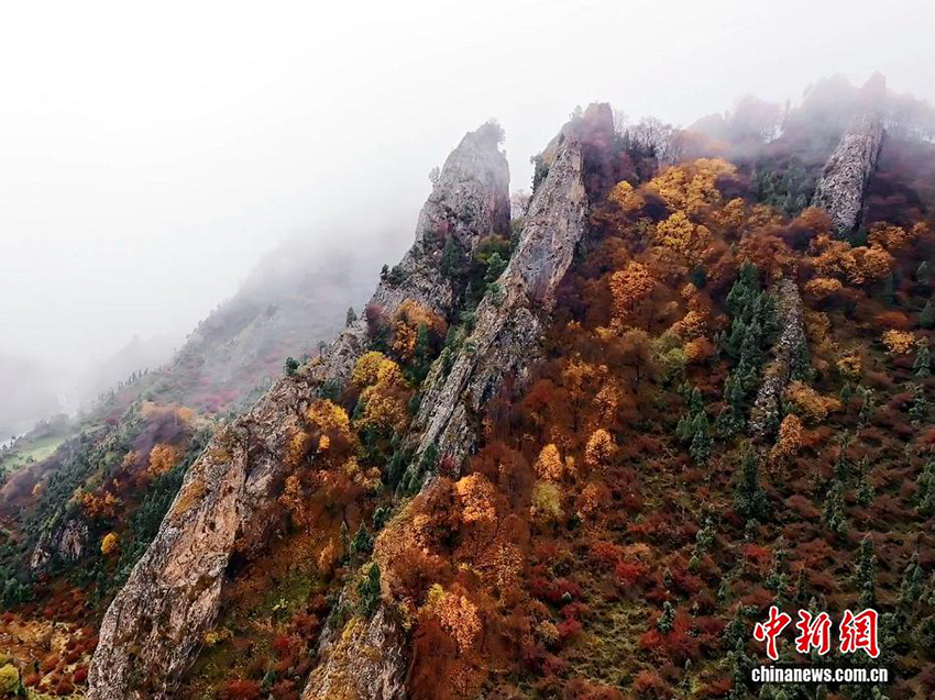 Үстірттегі күз көрінісі: Қарға оранған шың басы және күз түсіне боялған орман-тау